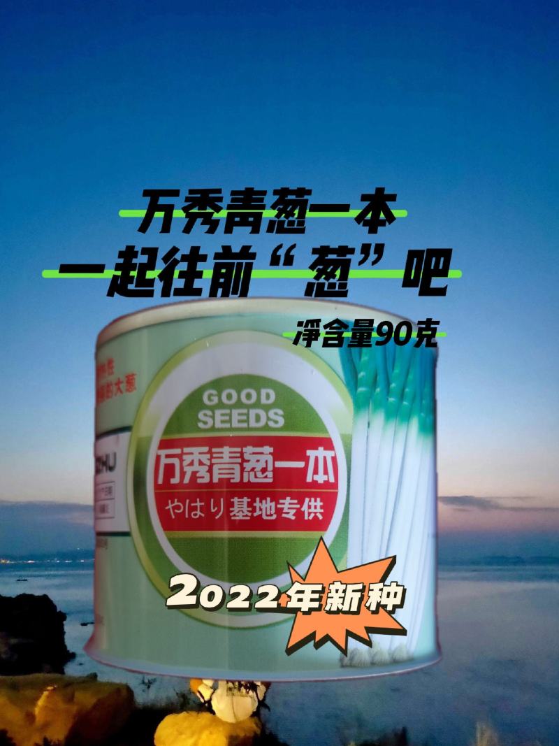 万秀青葱一本铁杆刚葱四季香葱一代种子厂家直销
