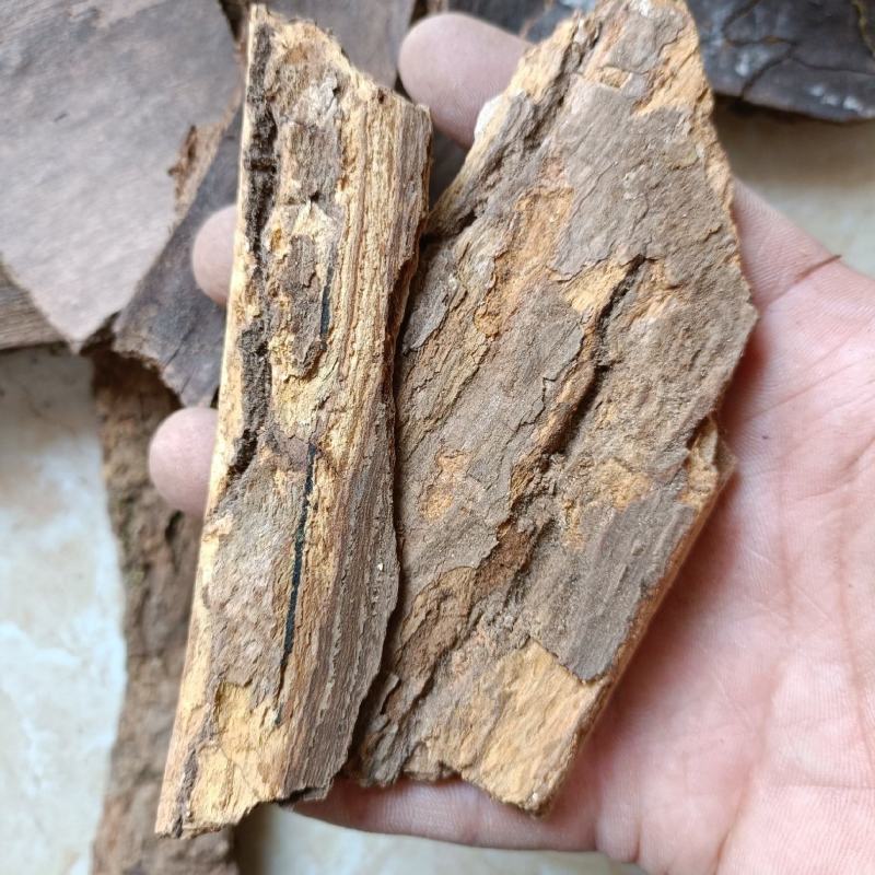 樟树皮产地直销一手货源