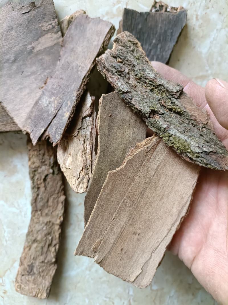 樟树皮产地直销一手货源