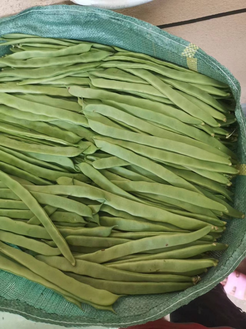 豆