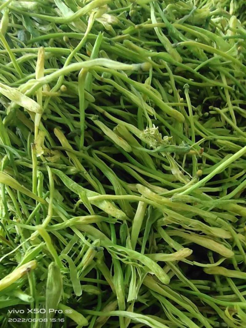 山银花选货，量大从优，产地直发大量货源欢迎咨询选购