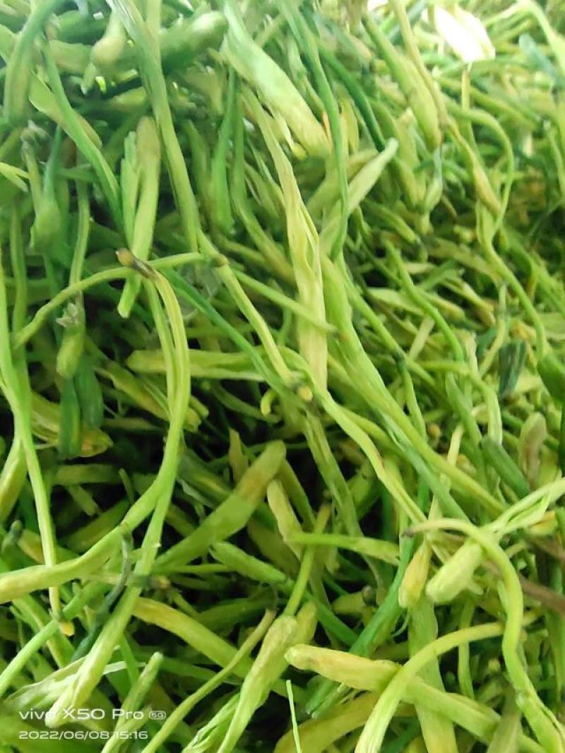 山银花选货，量大从优，产地直发大量货源欢迎咨询选购