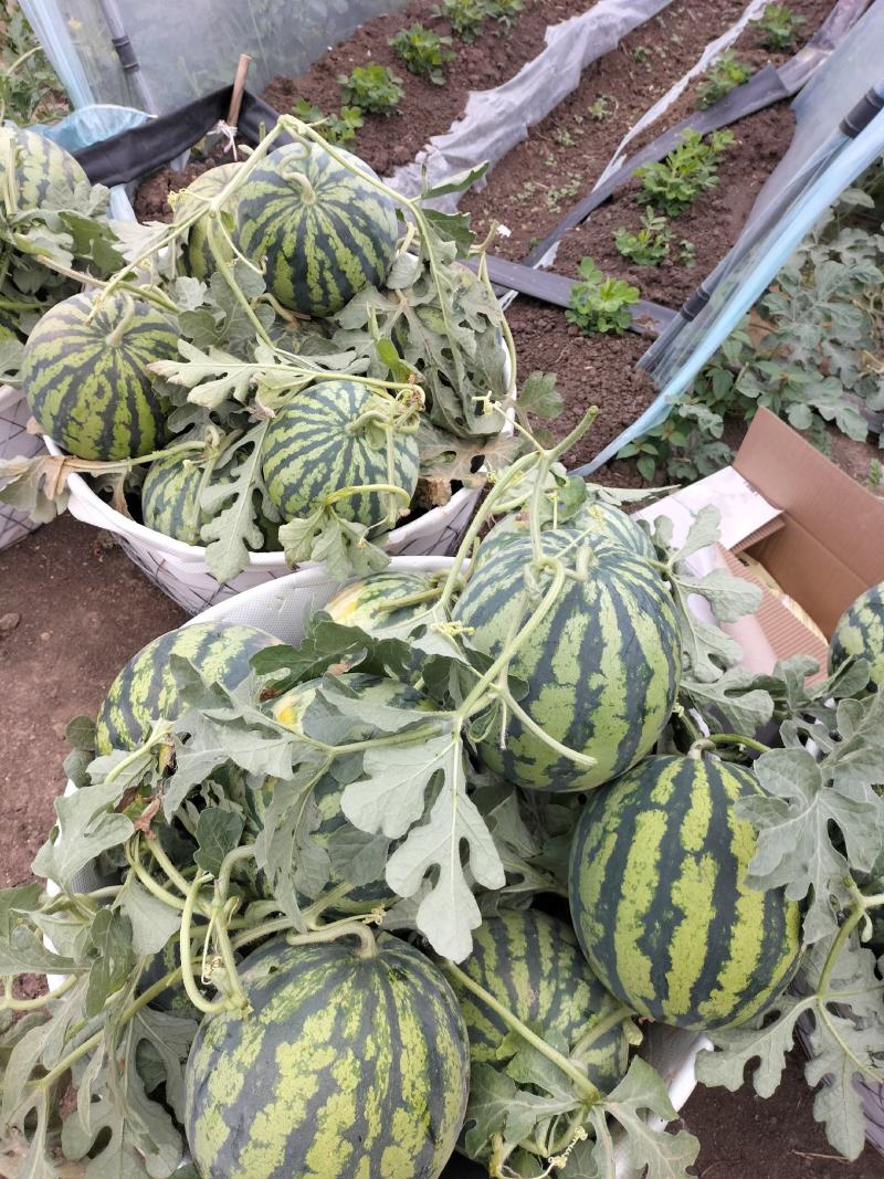 精品美都