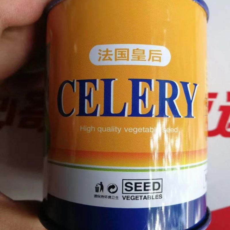 法国皇后西芹种子高抗病毒病色泽淡黄晶莹透亮