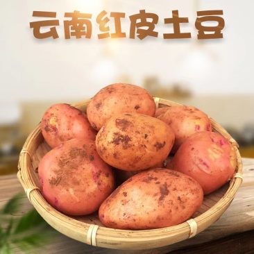 云南红皮黄心粉糯小土豆5/9斤农家自种新鲜小土豆