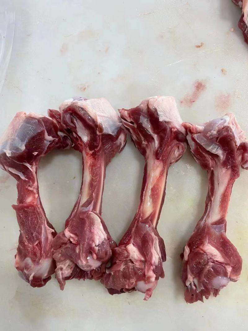 多肉羊棒骨，肉特别多，熬汤吃肉吸骨髓，量大从优