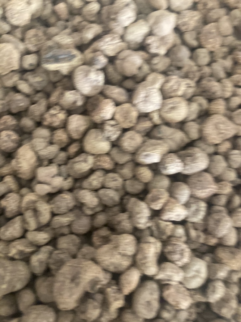 元胡，货干大量现货在售相中货的朋友下单或私聊我