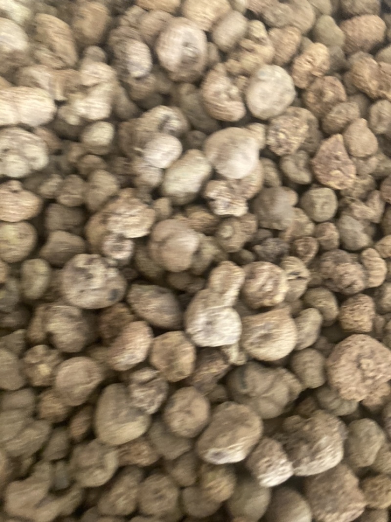 元胡，货干大量现货在售相中货的朋友下单或私聊我