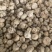 元胡，货干大量现货在售相中货的朋友下单或私聊我