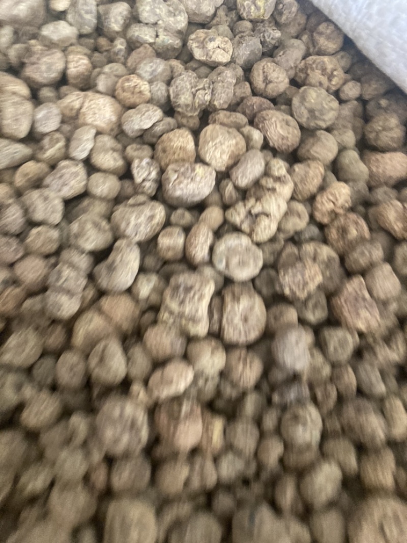 元胡，货干大量现货在售相中货的朋友下单或私聊我