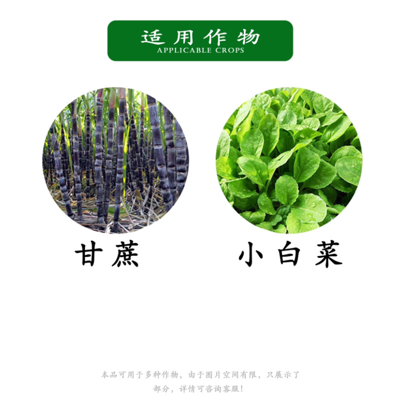 先正达度锐噻虫嗪小菜蛾吊丝虫白粉虱蓟马蔬菜农药高效杀虫剂