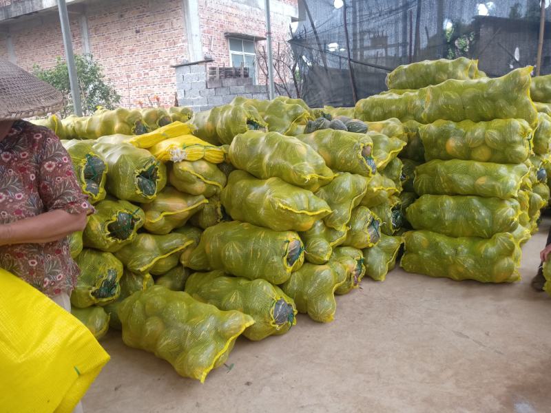 广西富川无公害农副产品香芋南瓜大量供应，质量保证，价格实惠