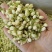 批发.茉莉花500克茉莉花瓣干花茉莉花茶泡水花草茶
