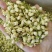 批发.茉莉花500克茉莉花瓣干花茉莉花茶泡水花草茶