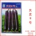 天龙9号茄子种子，天龙10号1000粒，烧烤茄商品茄两用