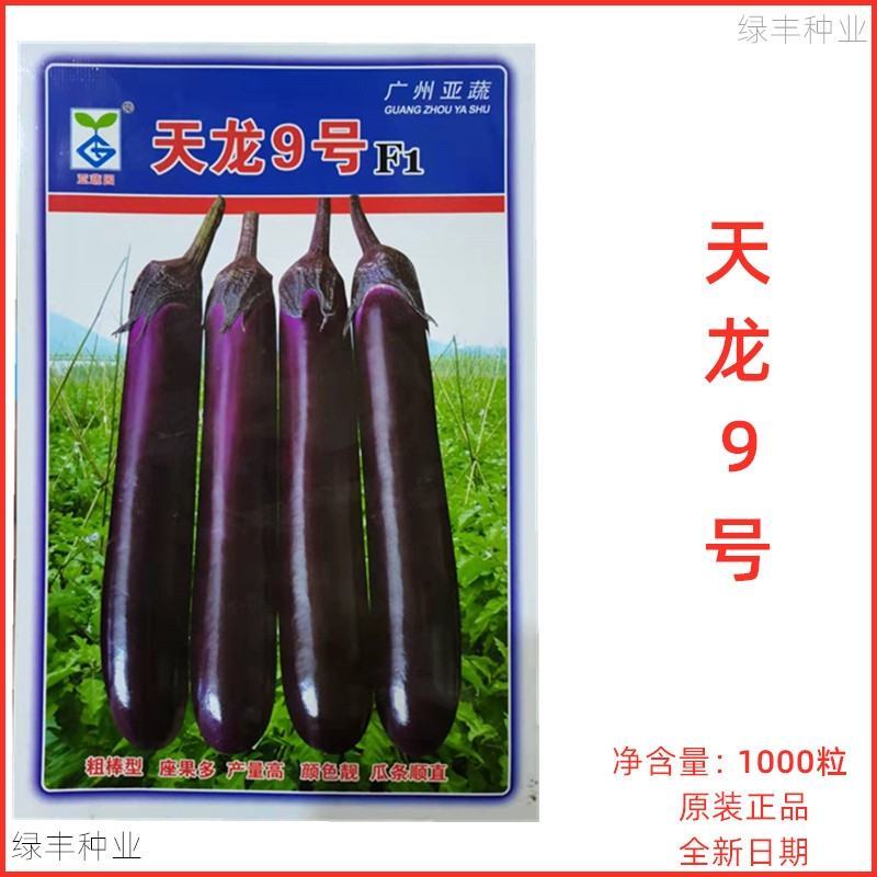 天龙9号茄子种子，天龙10号1000粒，烧烤茄商品茄两用