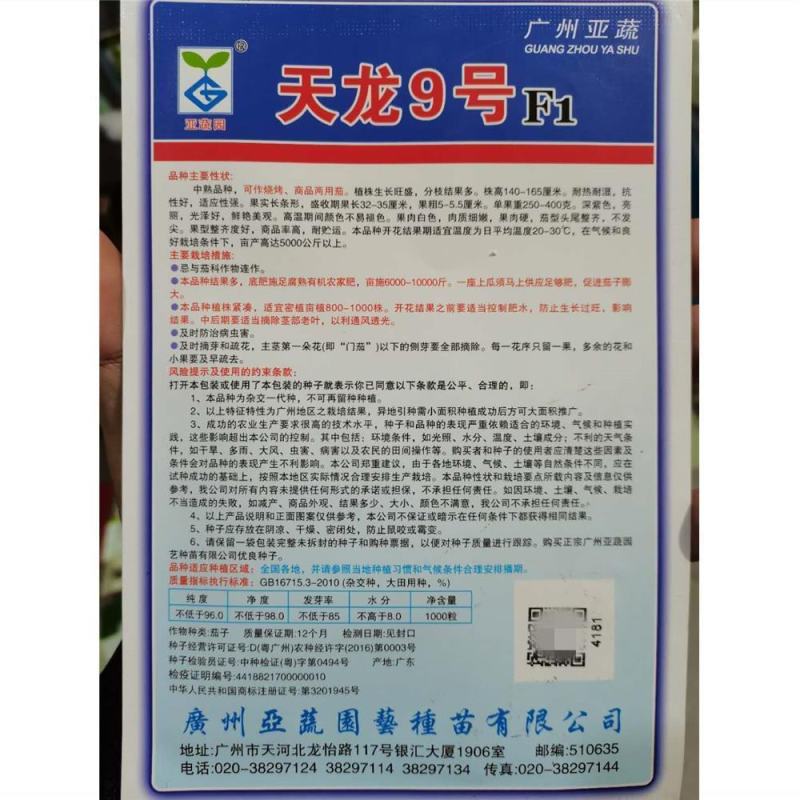 天龙9号茄子种子，天龙10号1000粒，烧烤茄商品茄两用