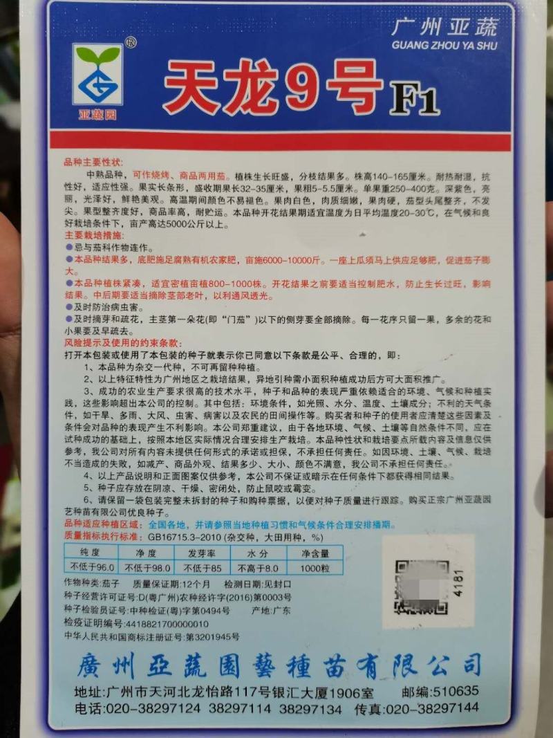 天龙9号茄子种子，天龙10号1000粒，烧烤茄商品茄两用