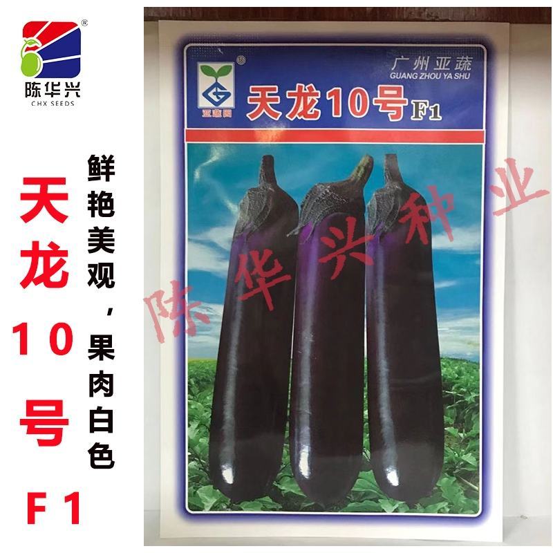 天龙9号茄子种子，天龙10号1000粒，烧烤茄商品茄两用