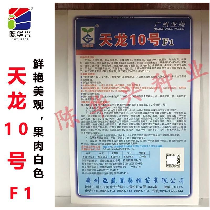 天龙9号茄子种子，天龙10号1000粒，烧烤茄商品茄两用