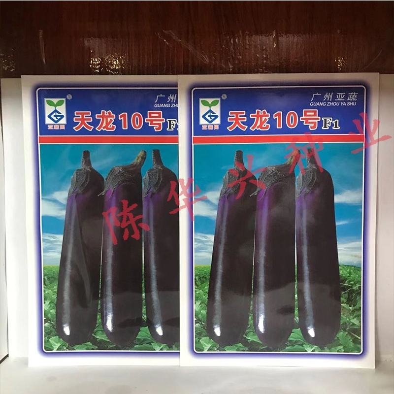 天龙9号茄子种子，天龙10号1000粒，烧烤茄商品茄两用