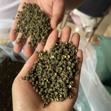汉源青花椒新花椒藤椒一件100斤开口率好
