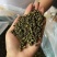 汉源青花椒新花椒藤椒一件100斤开口率好