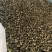 汉源青花椒新花椒藤椒一件100斤开口率好