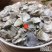云南中药材生牡蛎煅牡蛎牡蛎片500g包邮