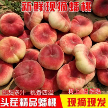 蟠桃纸袋光果基地直供一手货源品质保证诚信经营对接批发商