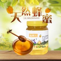 广西玉林蜂蜜大量出售蜂蜜糖龙眼蜜荔枝蜜保真保纯