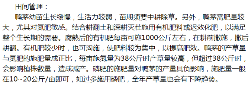 鸭茅草种子多年生牧草种子耐寒耐热养殖牛羊鹅兔鱼鸡牧草