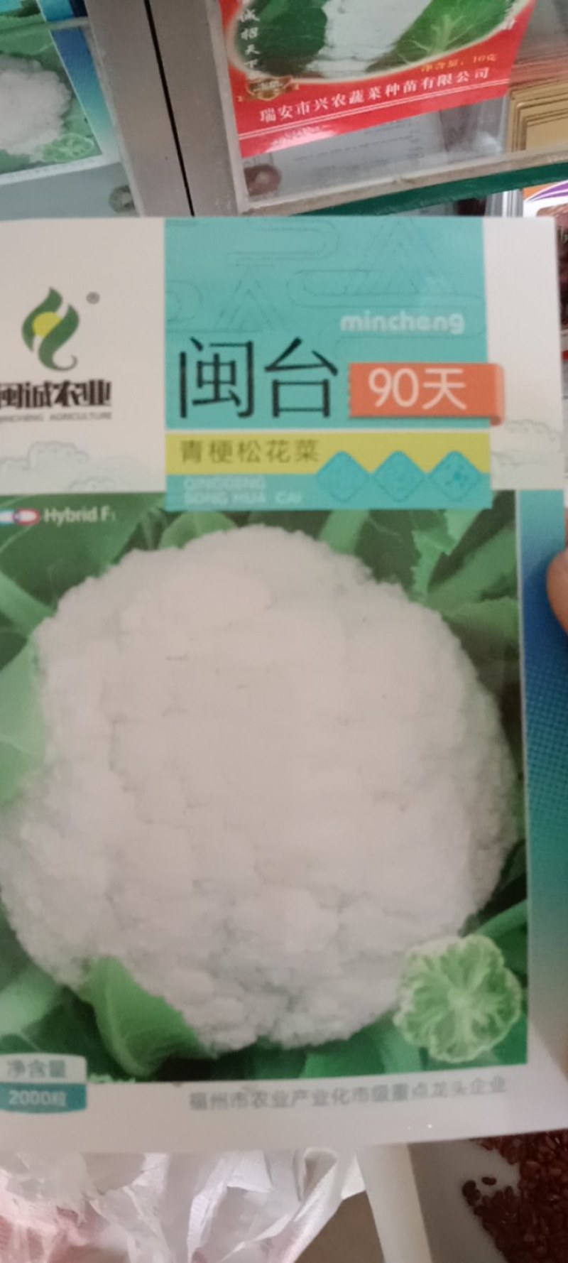 台湾有机花菜种子90天松花菜种子青梗有机花菜种子