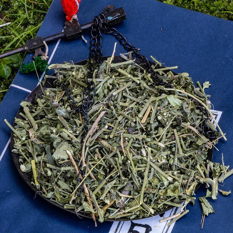 透骨草透骨草产地草药净货过筛无杂质一公斤起批