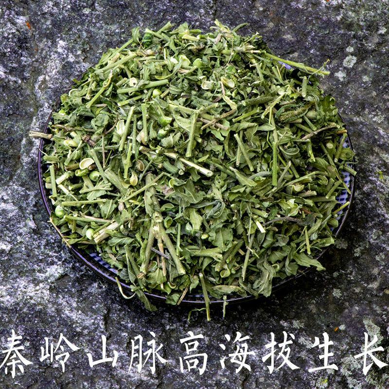 透骨草透骨草产地草药净货过筛无杂质一公斤起批