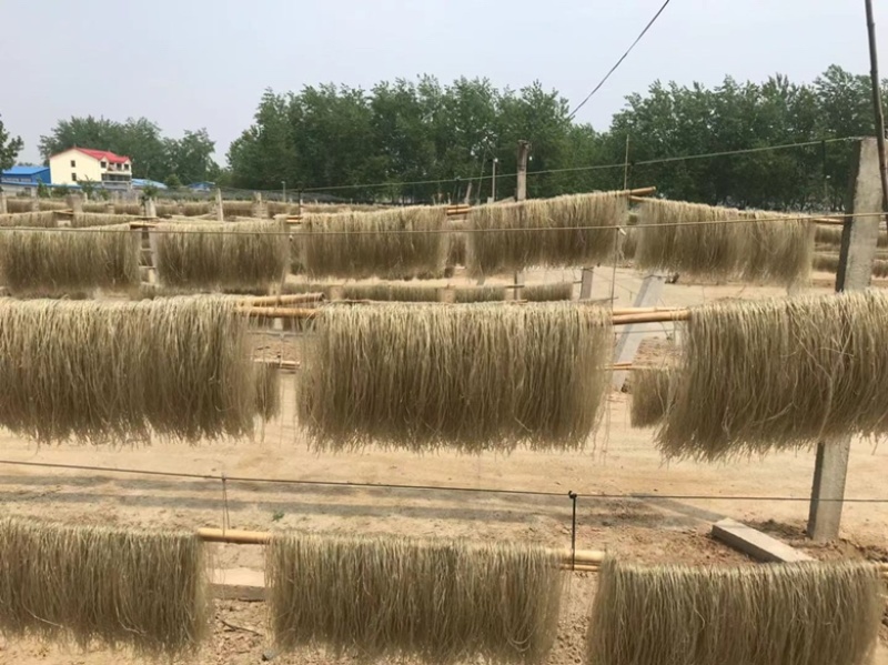 【推荐】山东粉条厂家直发规格齐全可对接常超欢迎选购