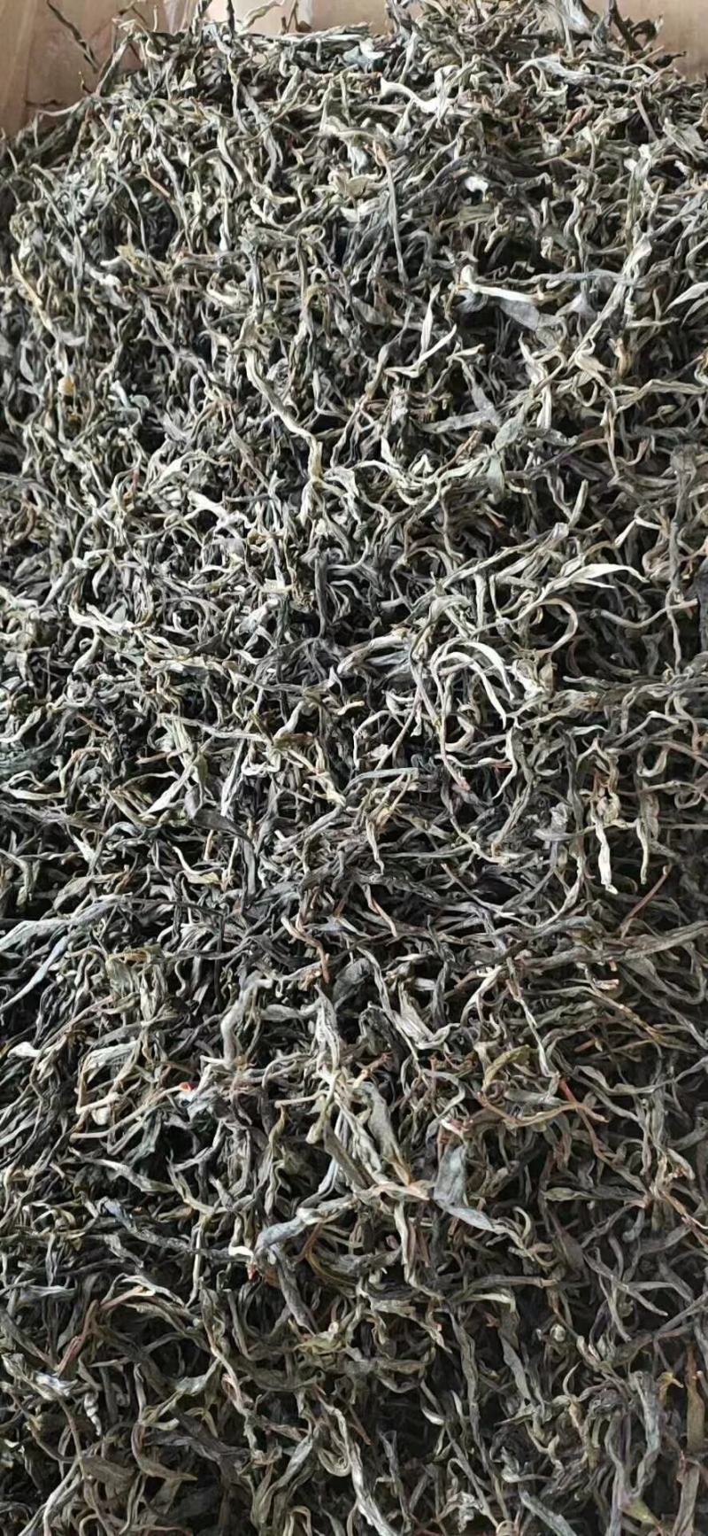 普洱茶
