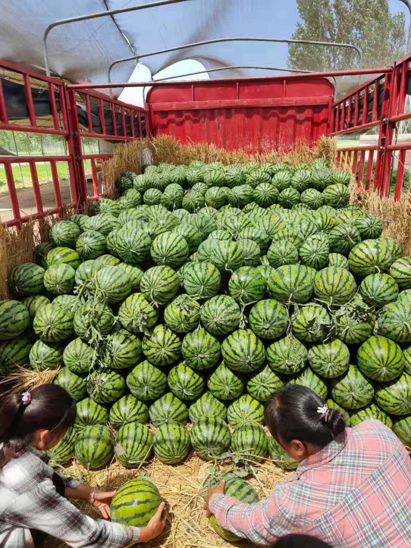 精品美都西瓜，口感爆甜，产地直销，保质保量，欢迎订购！