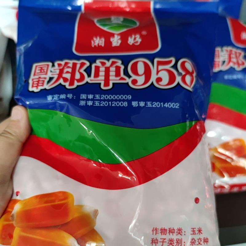 郑单958玉米种子，3000粒