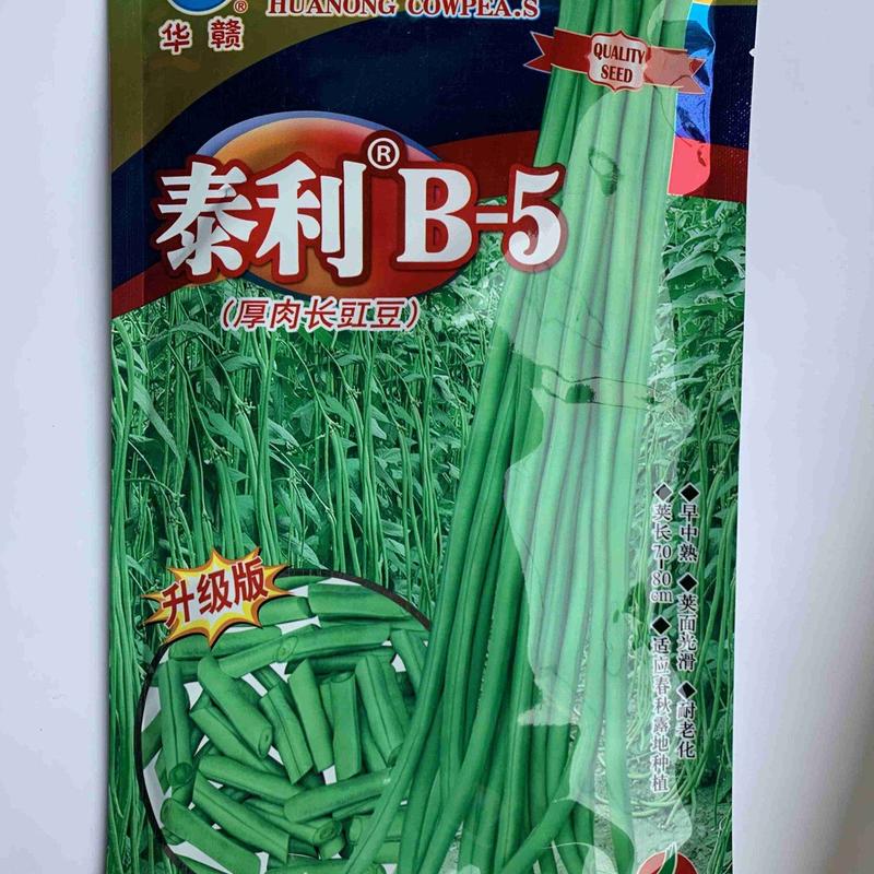 泰利B5厚肉长豇豆种子，叶小荚长70厘米，双荚率高