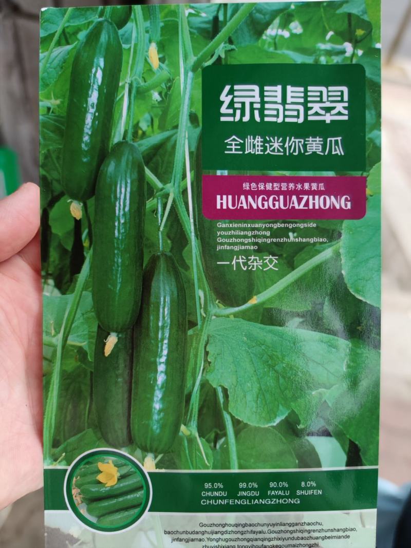 绿翡翠全雌密你黄瓜种子，100粒