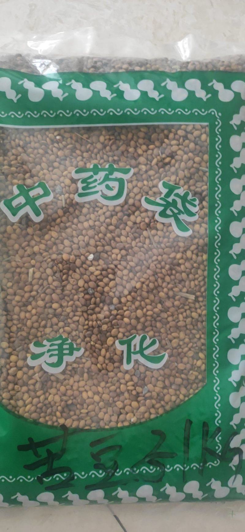 苦豆子干货常年经营各种中药材