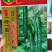 油亮w黄瓜种子，5克