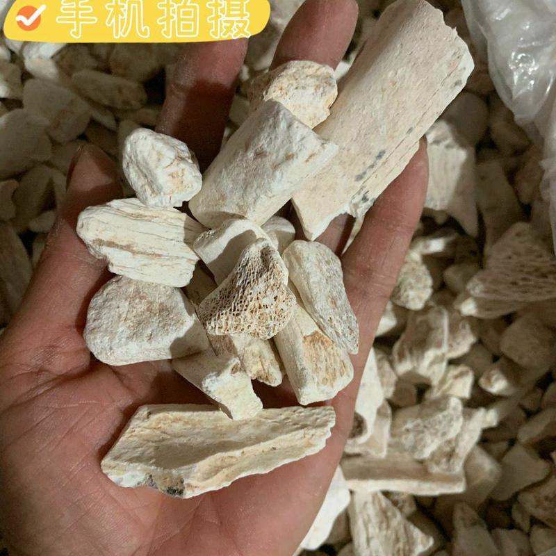龙骨煅龙骨中药材矿石龙骨化石矿石规格龙骨块