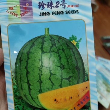 珍珠2号西瓜种子，200克，瓜肉嫩黄，单瓜2到3斤