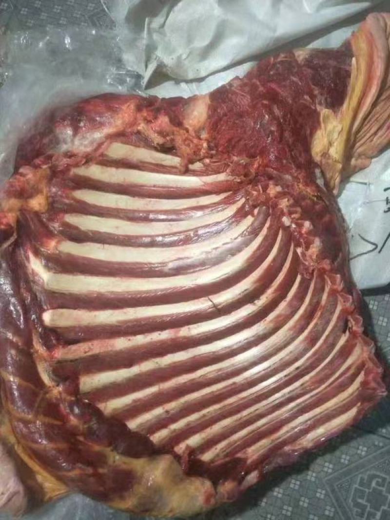 鲜驴排