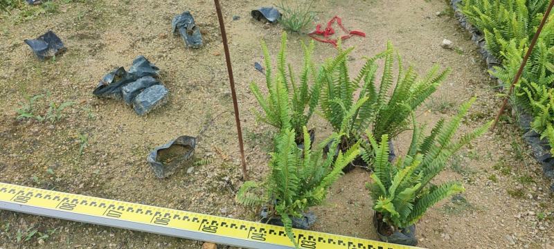 福建漳州基地贤厥欢迎全国老板前来考察洽谈量大从优
