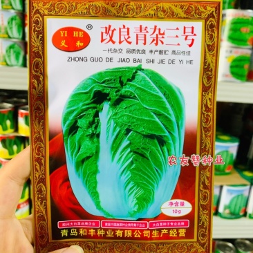 菜农专用义和改良青杂三号白菜种子山东大白菜种子中晚熟