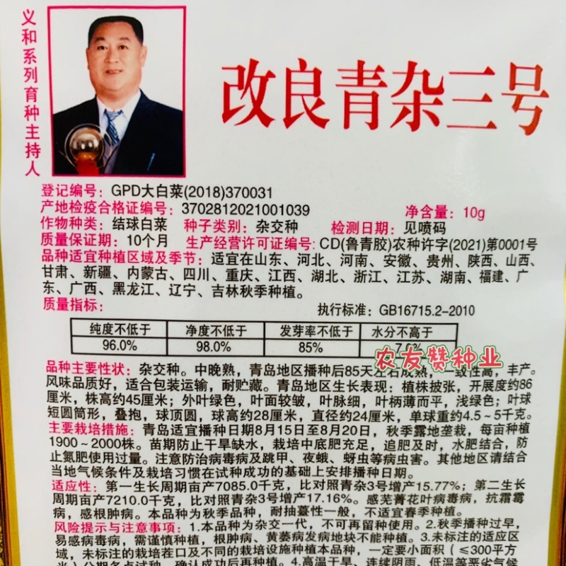 菜农专用义和改良青杂三号白菜种子山东大白菜种子中晚熟