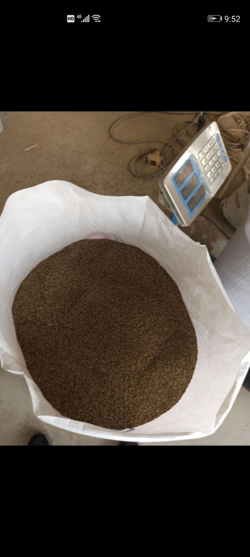 新疆库尔勒孜然大量有货，产地一手货源量大优惠欢迎合作